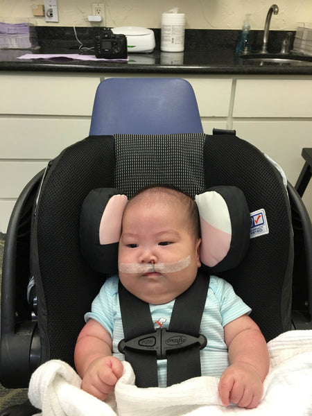 Meet Elisha